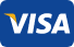 visa icon